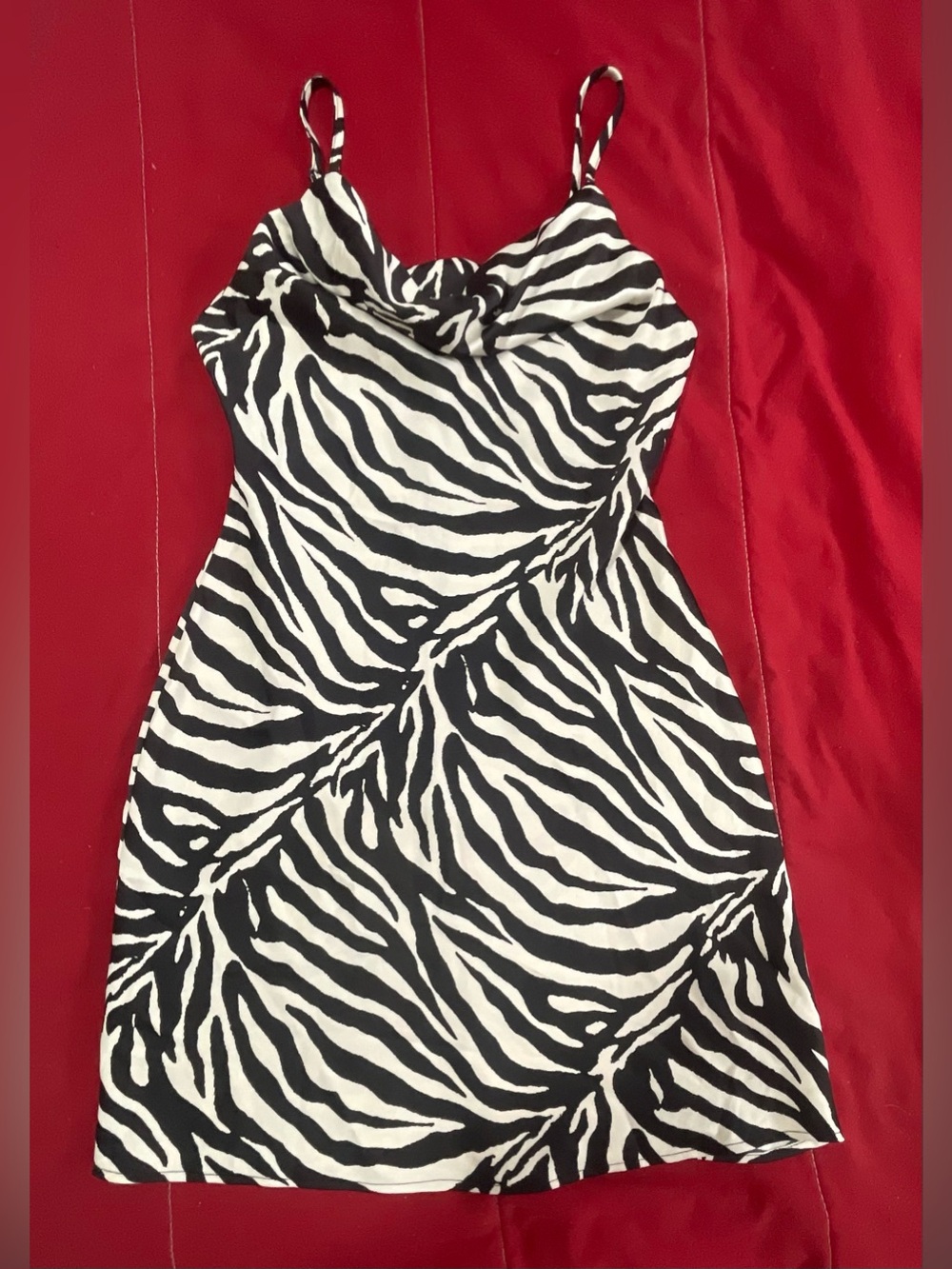 Urban Outfitters Zebra-Print Slip Dress - Black & White